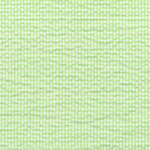 XB3 - Lime Green Gingham Seersucker