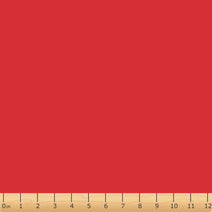 RC1- Red raincoat fabric