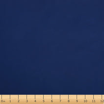 RC2- Navy raincoat fabric